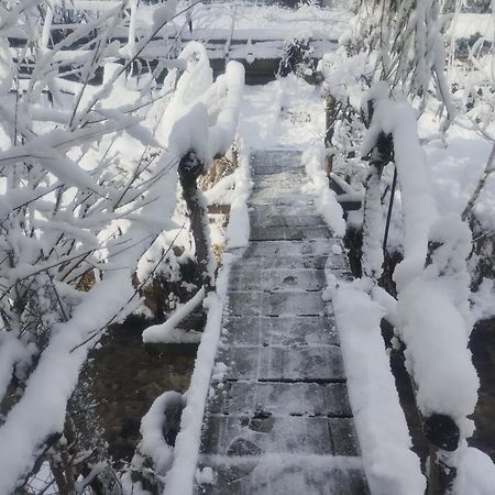 Casuta Din Crai Villa Zărneşti Bagian luar foto