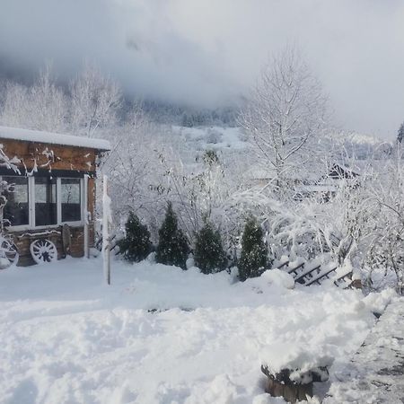 Casuta Din Crai Villa Zărneşti Bagian luar foto