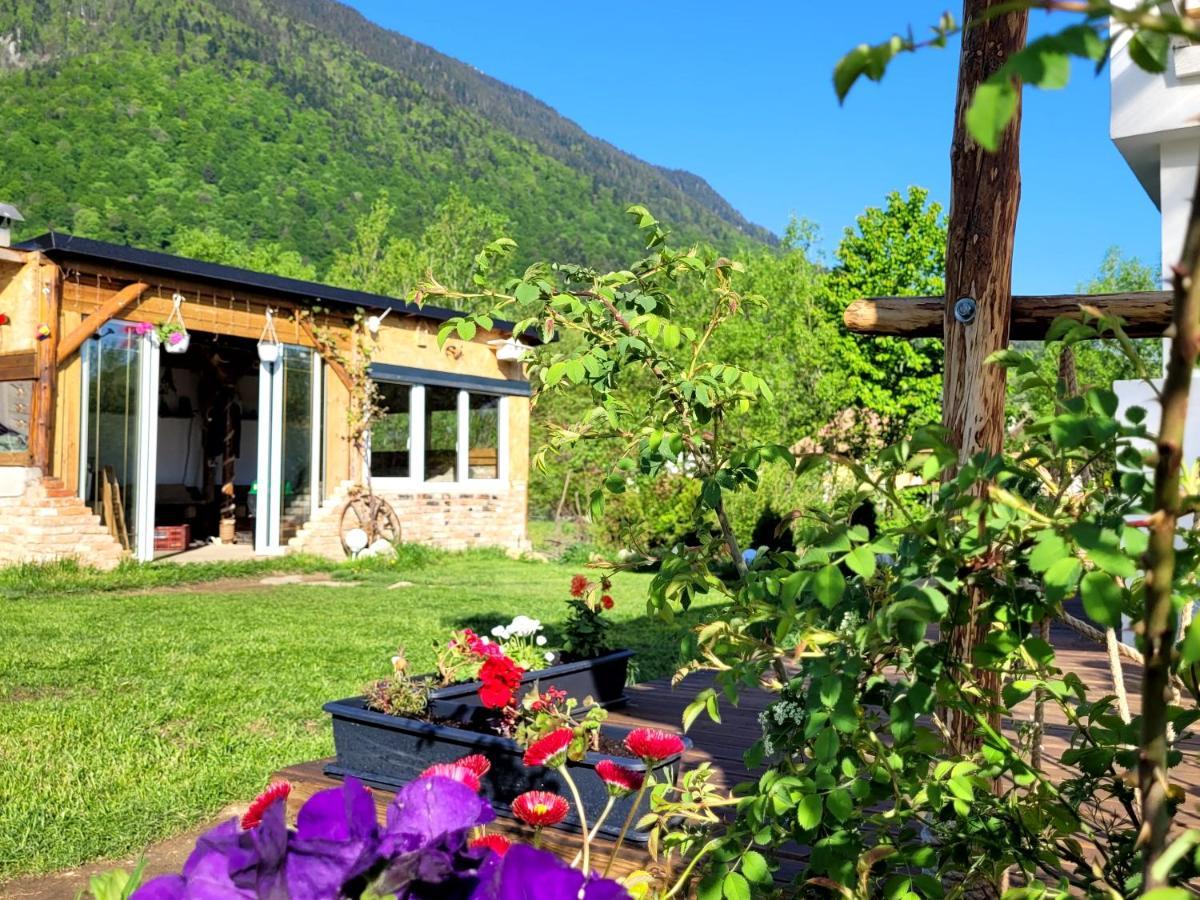 Casuta Din Crai Villa Zărneşti Bagian luar foto