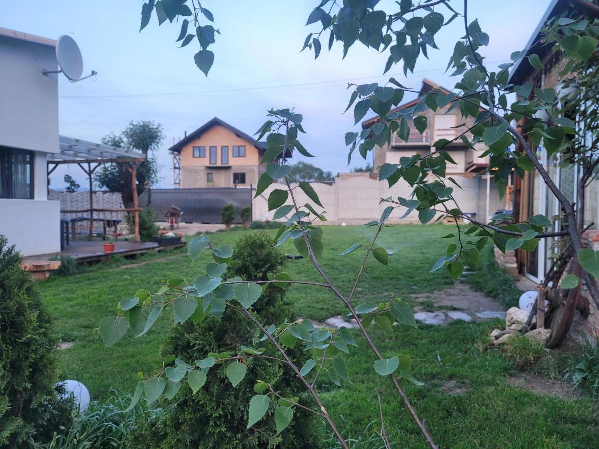 Casuta Din Crai Villa Zărneşti Bagian luar foto