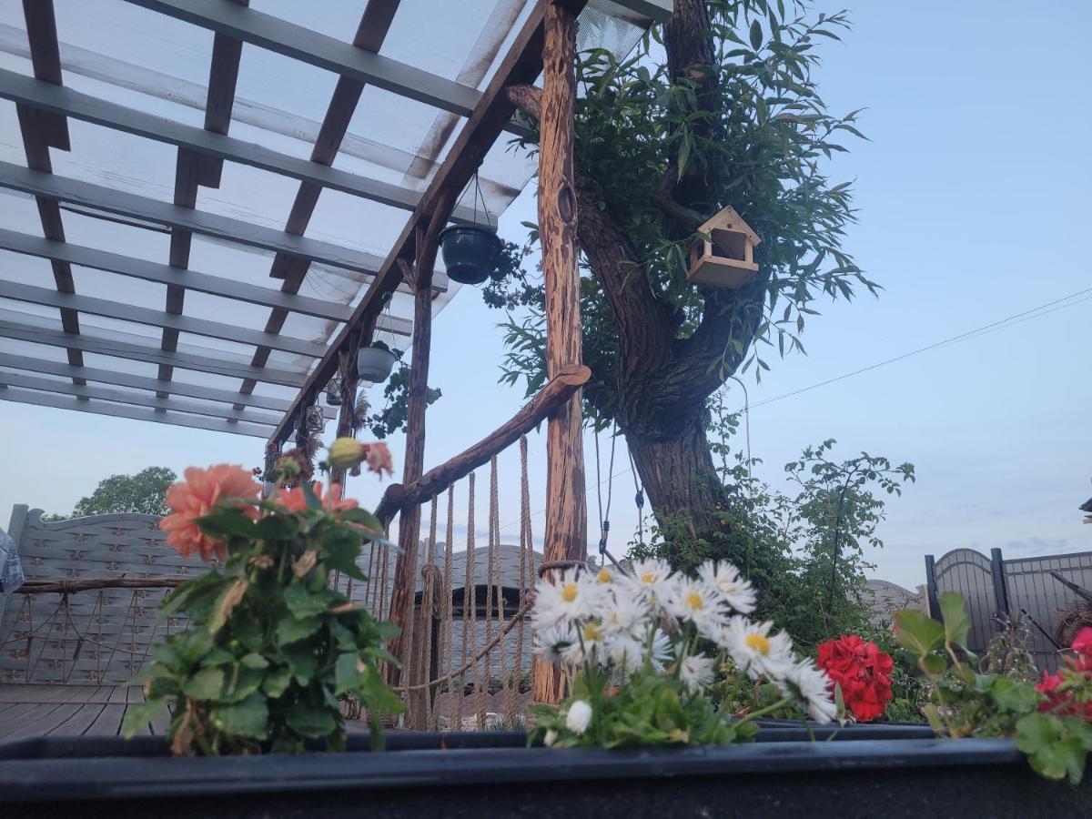 Casuta Din Crai Villa Zărneşti Bagian luar foto