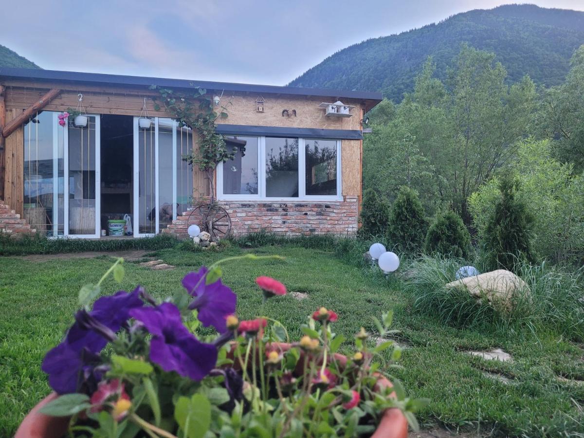Casuta Din Crai Villa Zărneşti Bagian luar foto
