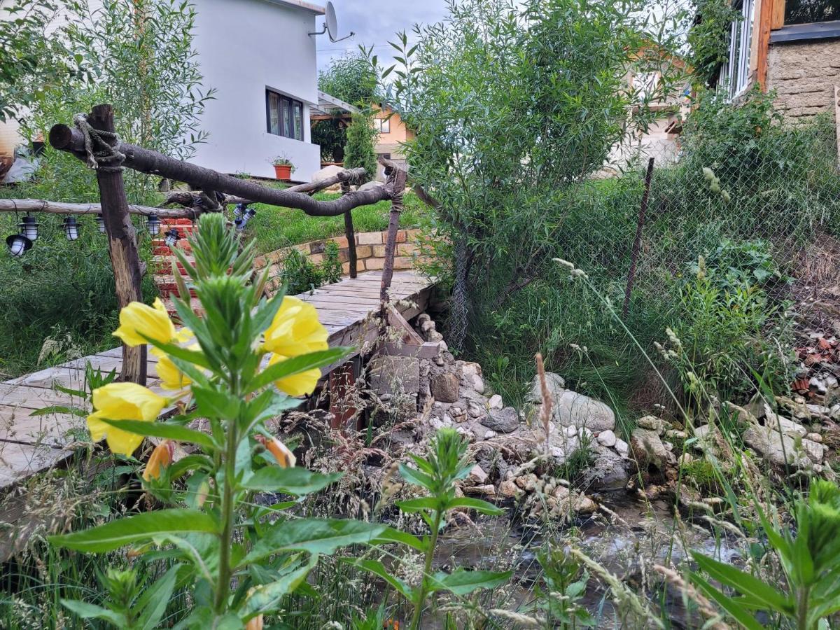Casuta Din Crai Villa Zărneşti Bagian luar foto