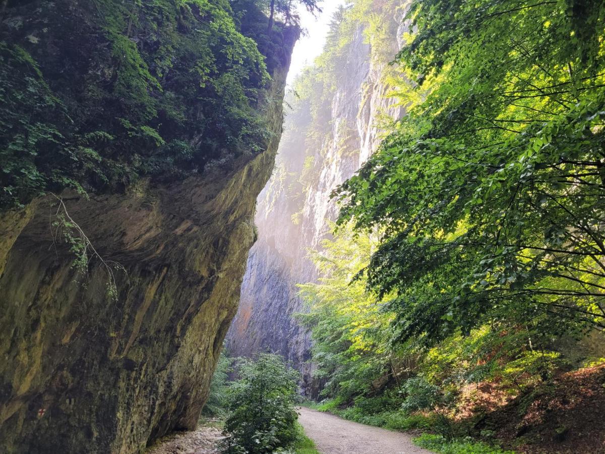 Casuta Din Crai Villa Zărneşti Bagian luar foto