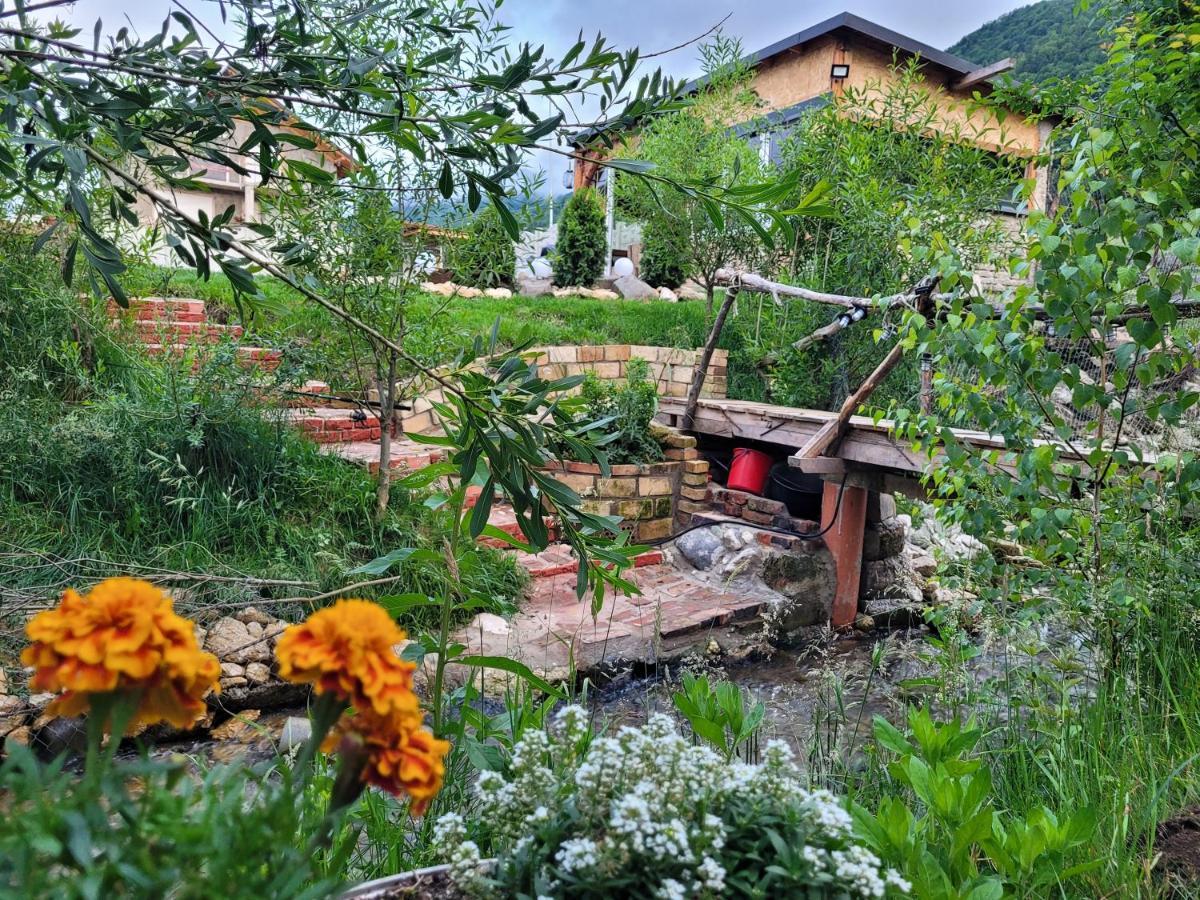 Casuta Din Crai Villa Zărneşti Bagian luar foto