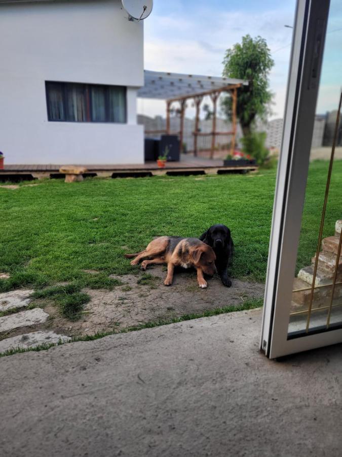 Casuta Din Crai Villa Zărneşti Bagian luar foto