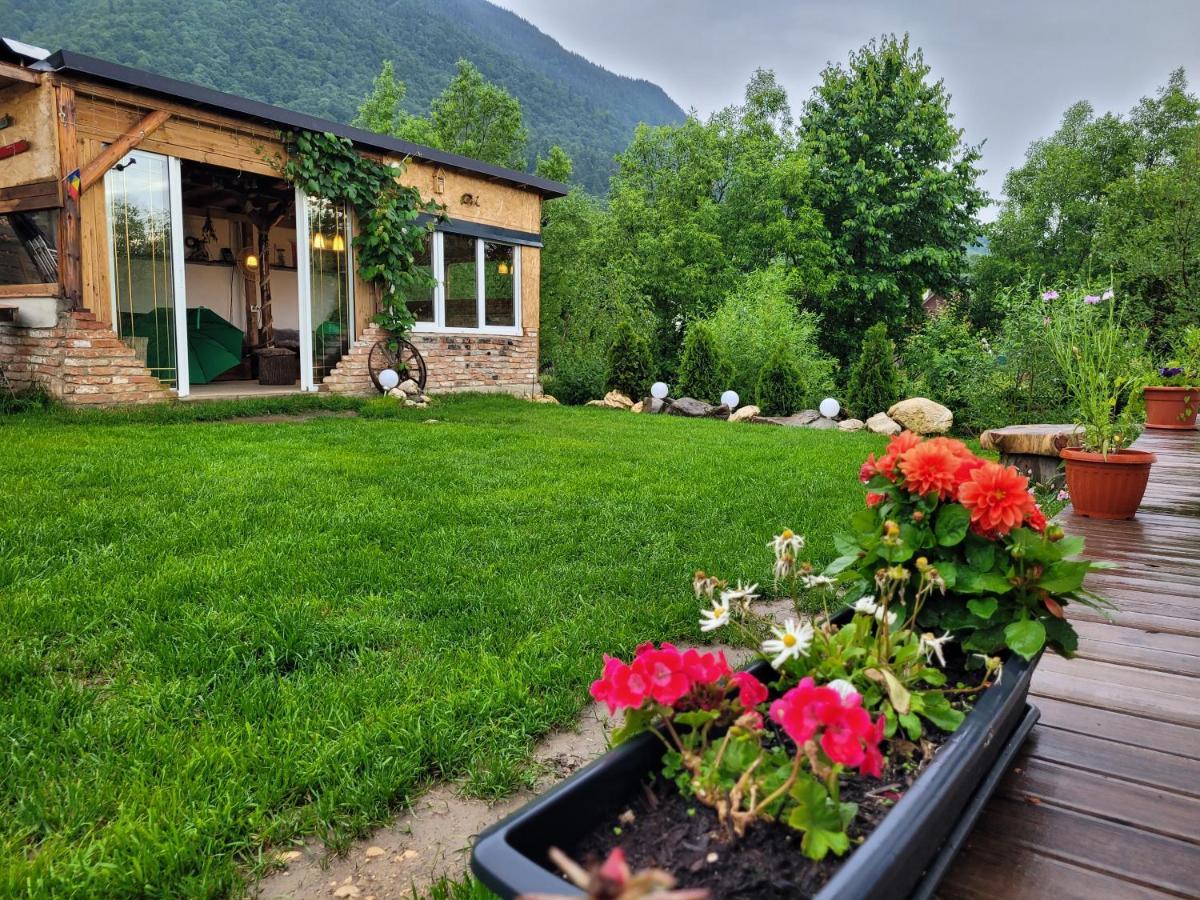 Casuta Din Crai Villa Zărneşti Bagian luar foto