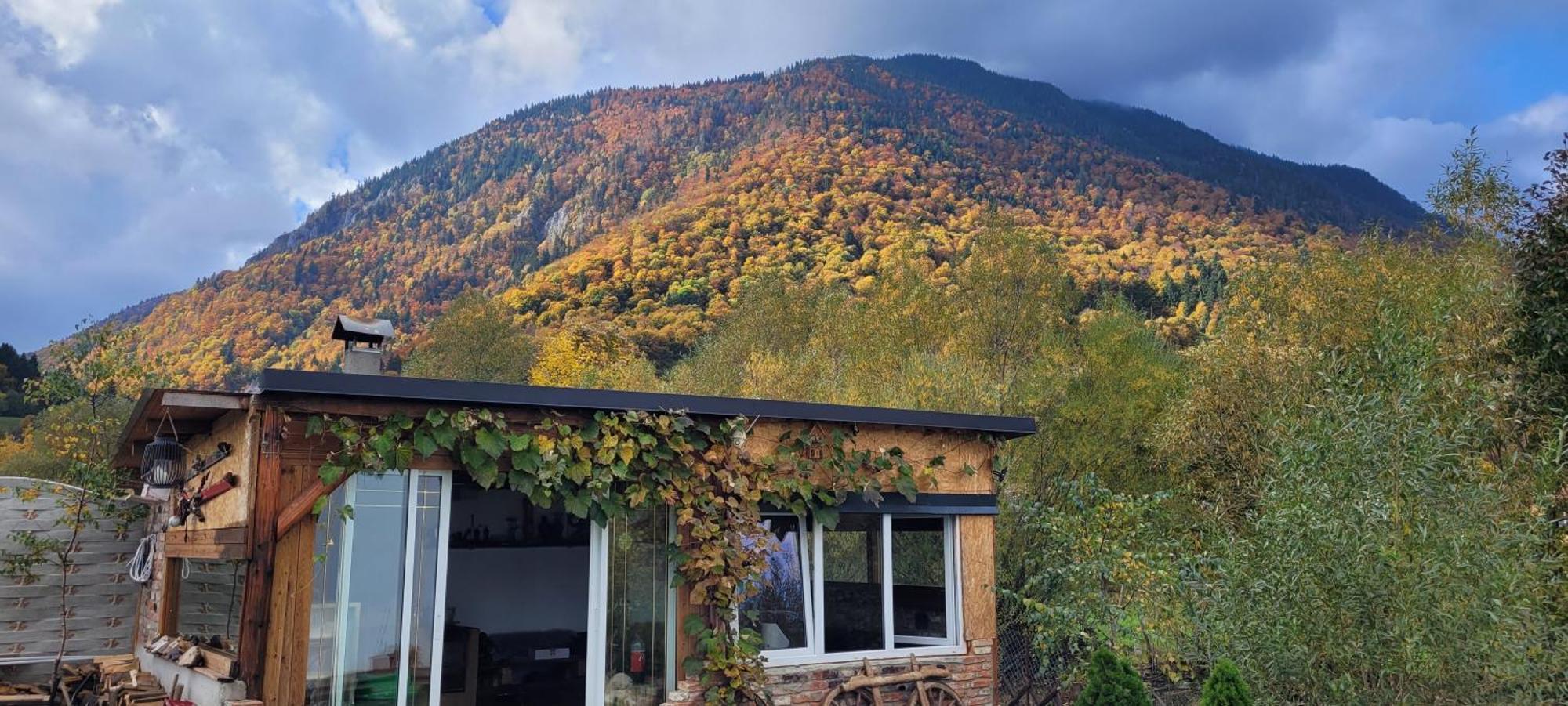 Casuta Din Crai Villa Zărneşti Bagian luar foto