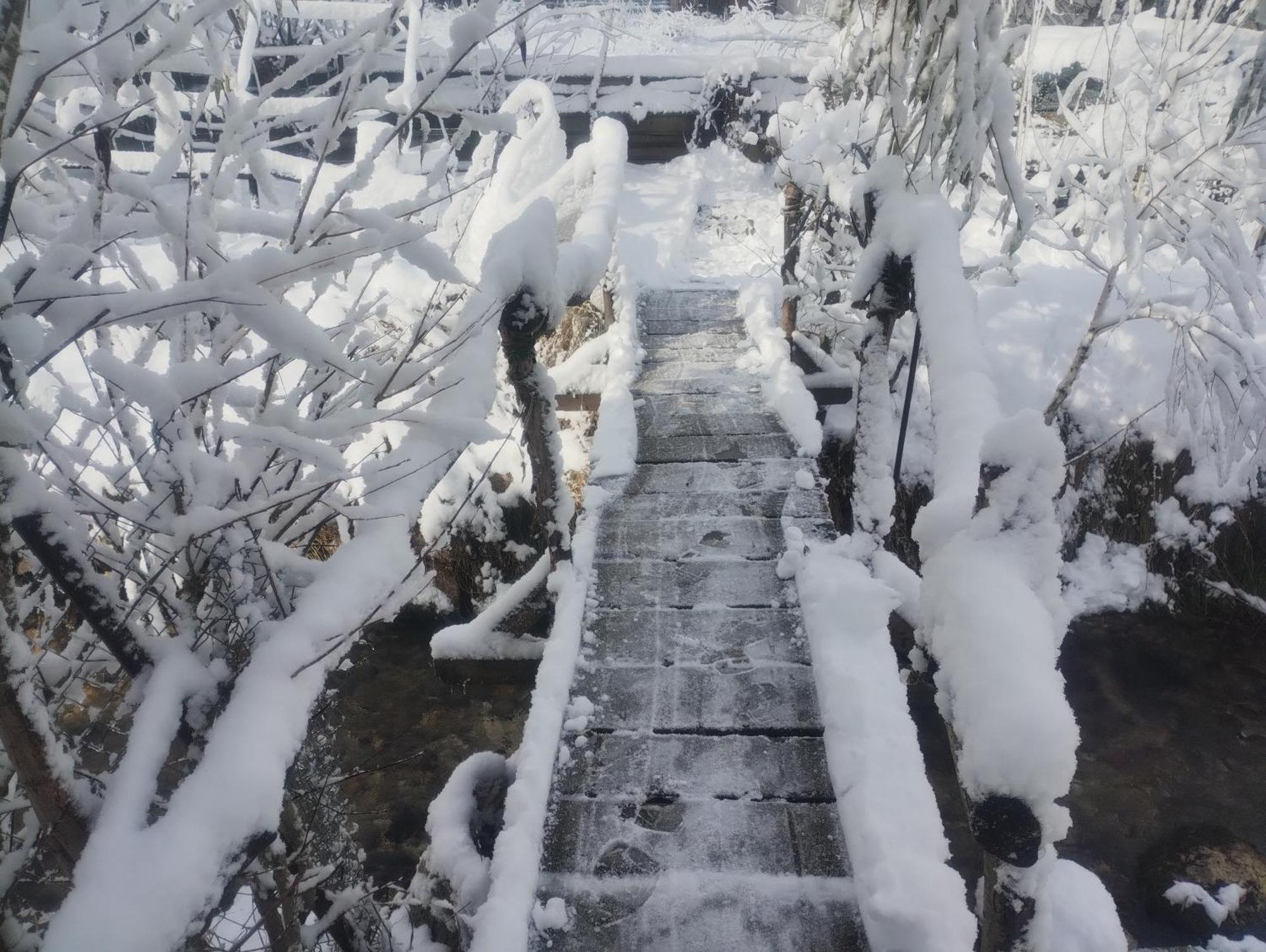 Casuta Din Crai Villa Zărneşti Bagian luar foto