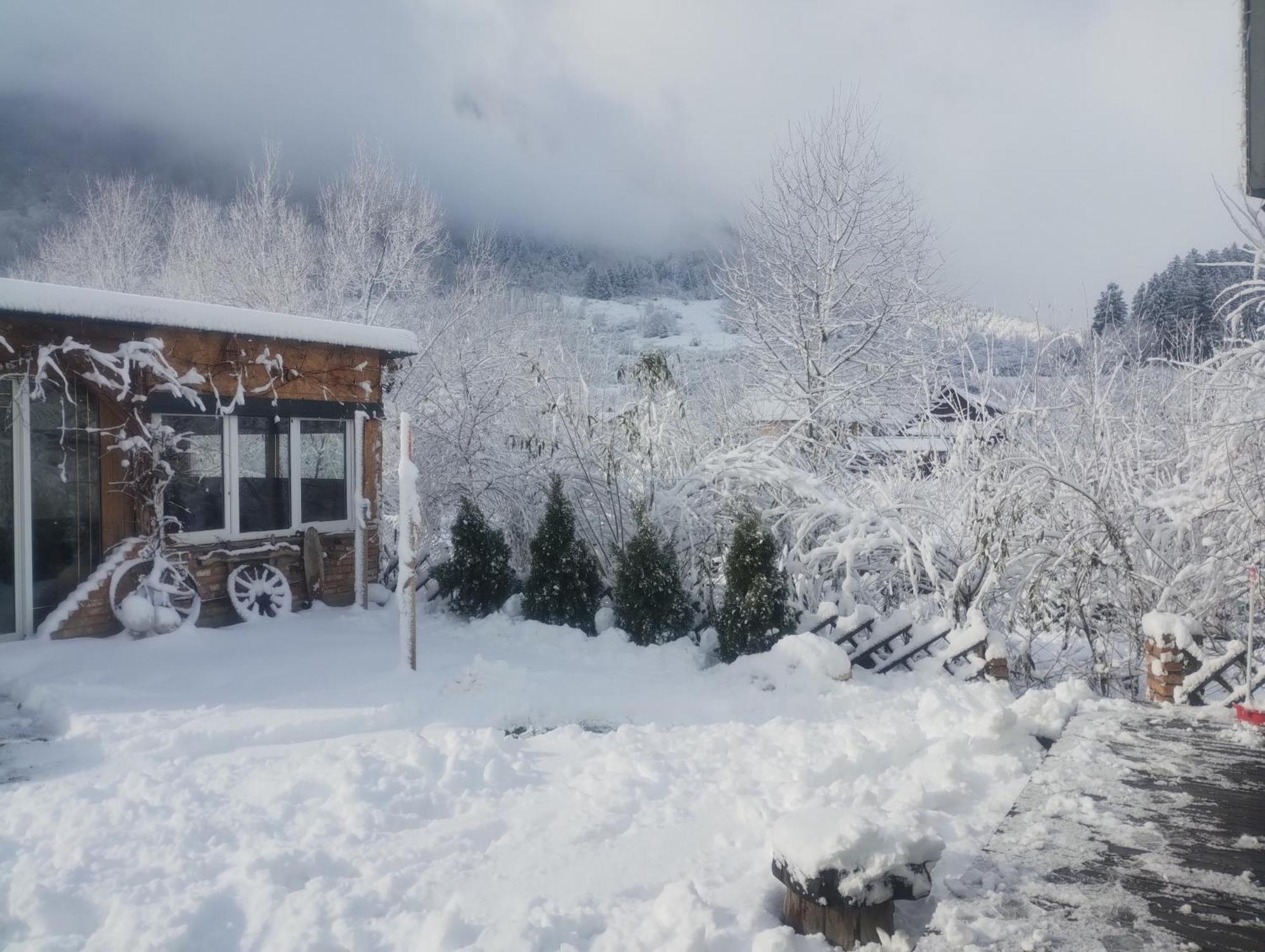 Casuta Din Crai Villa Zărneşti Bagian luar foto